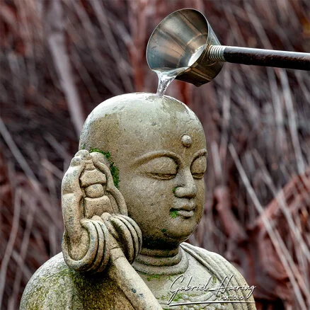 Buddha statue on a mountain ridge in Hakone overlooking forested hills in autumn