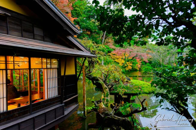 Autumn foliage in Kenrokuen Garden with maple trees in yellow, orange, and red