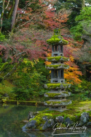 Autumn foliage in Kenrokuen Garden with maple trees in yellow, orange, and red