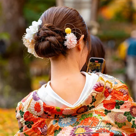 Autumn foliage in Kenrokuen Garden with maple trees in yellow, orange, and red