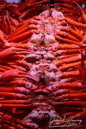 Crowded Ōmichō Market in Kanazawa during lunchtime with food stalls and visitors