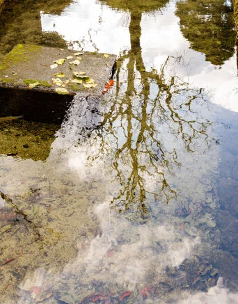Panorama of Shirakawa-Go village and valley forest in autumn foliage