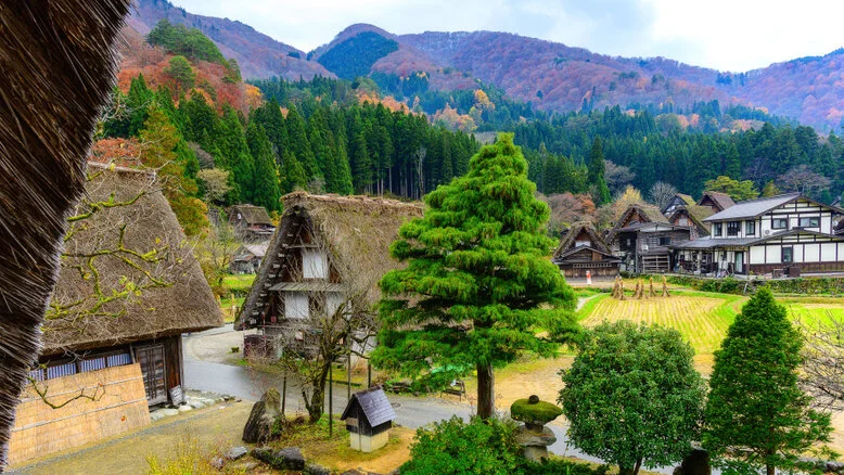 Panorama of Shirakawa-Go village and valley forest in autumn foliage