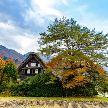 Panorama of Shirakawa-Go village and valley forest in autumn foliage